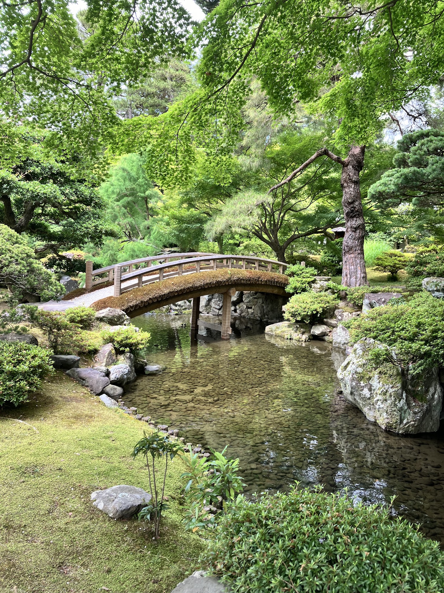Photo at Kyoto Gyoen, Japan