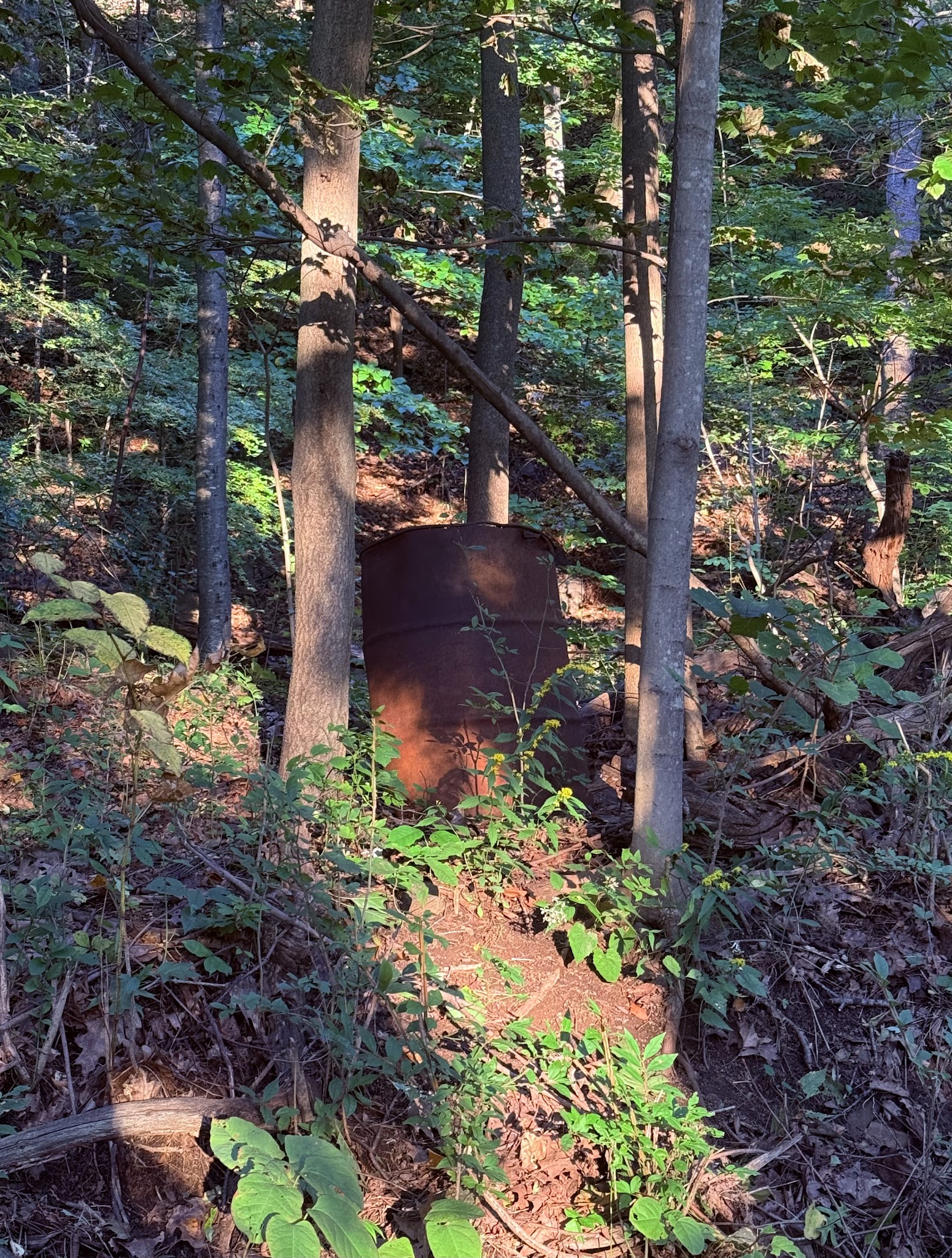 Photo at East Rock, New Haven, CT